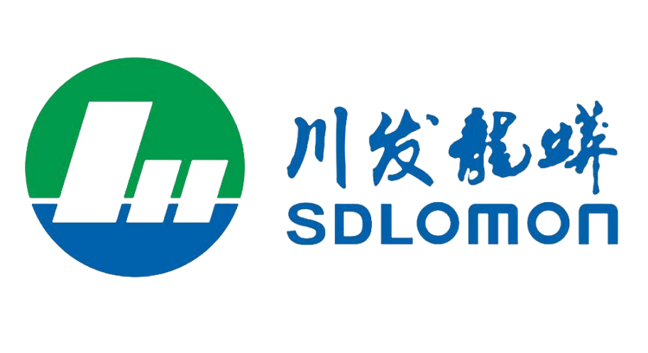 四川发展龙蟒股份有限公司